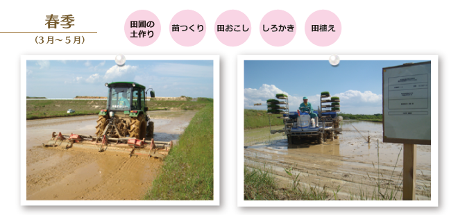 春季作業